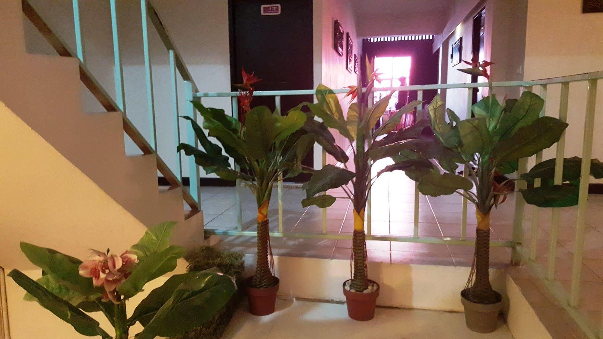 Inn Palace 3*